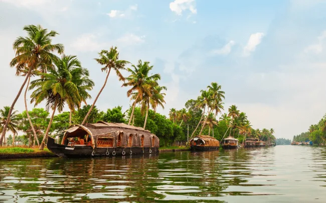Houseboats on a serene backwater in Kerala