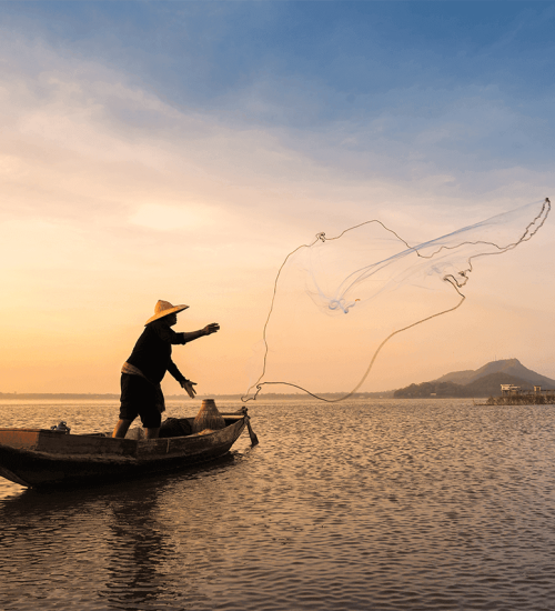 Fishing Fishing
